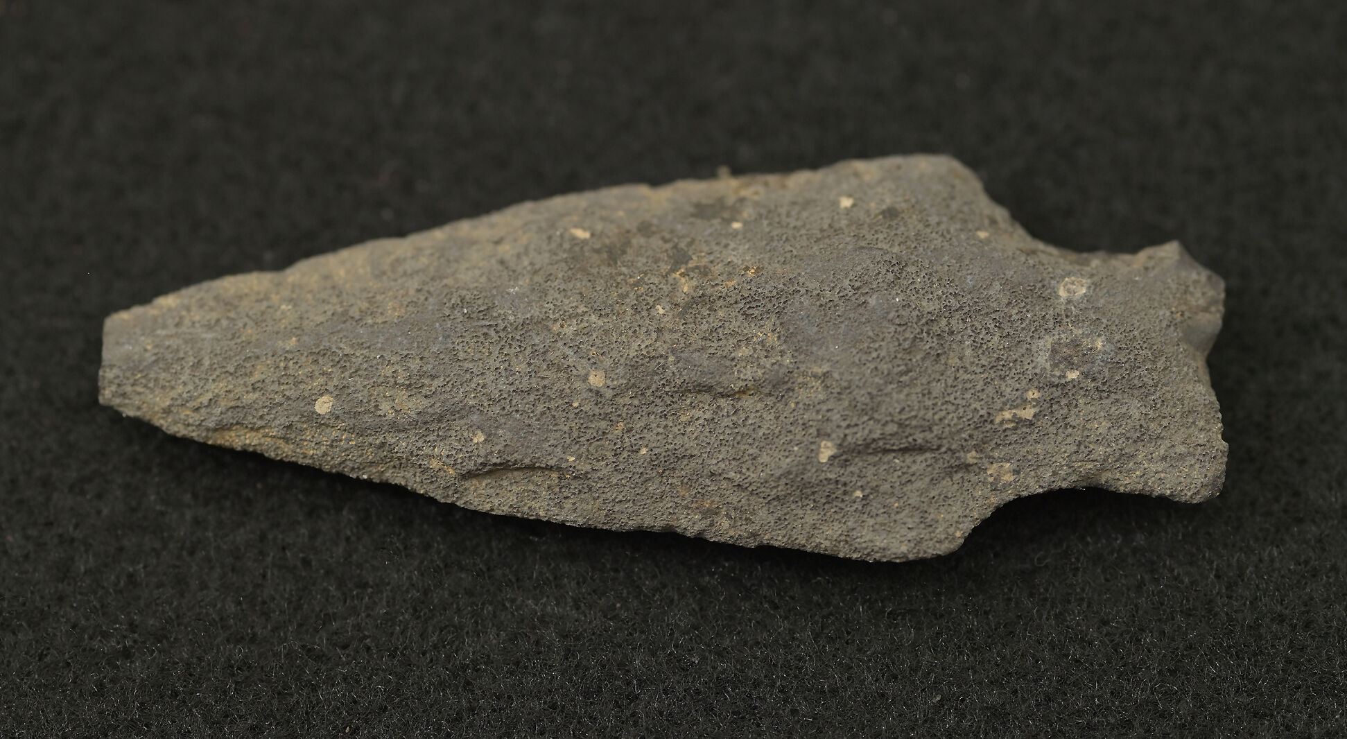 Hans Herr Artifacts 7.jpg